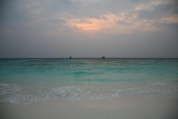 IMG_4581_resize.JPG