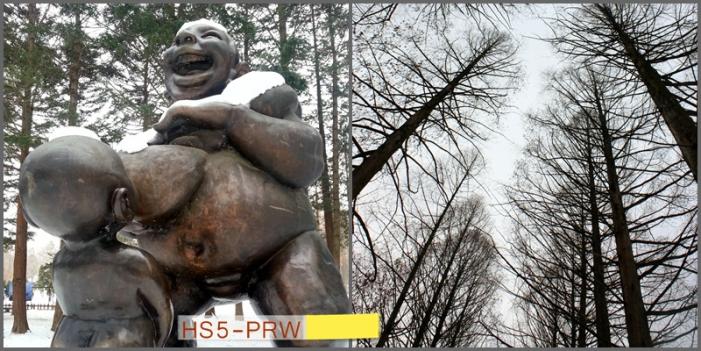 pict-19.jpg