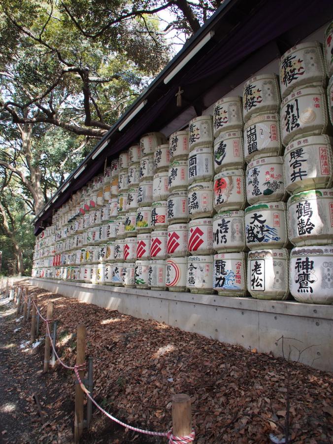 P2191550.JPG