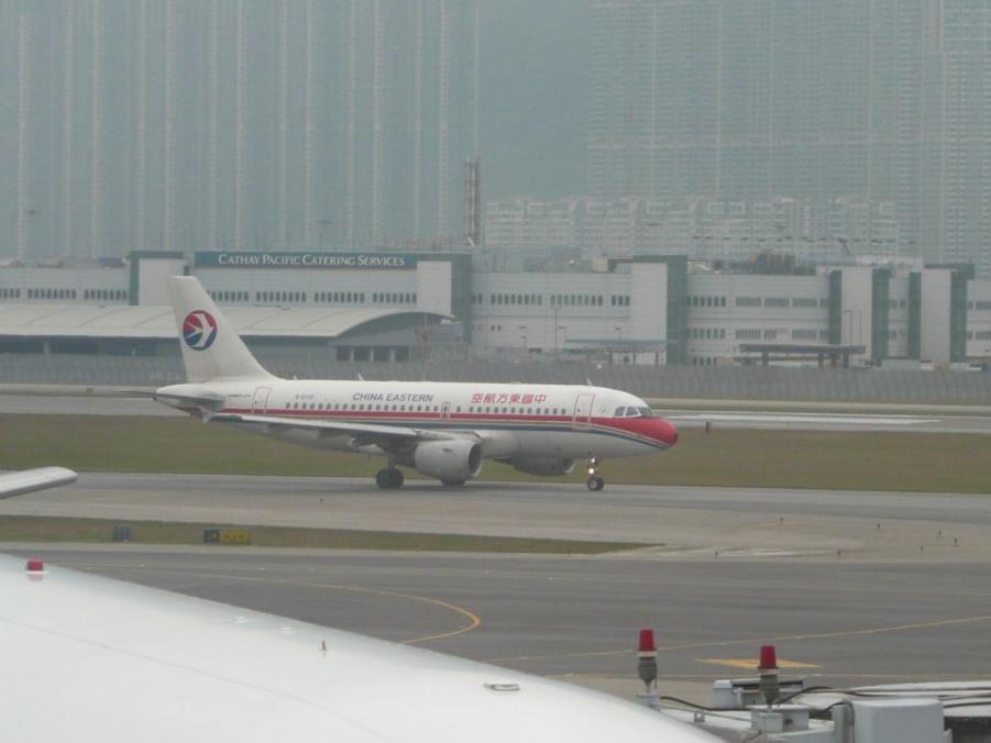 P1160373 (Large).JPG