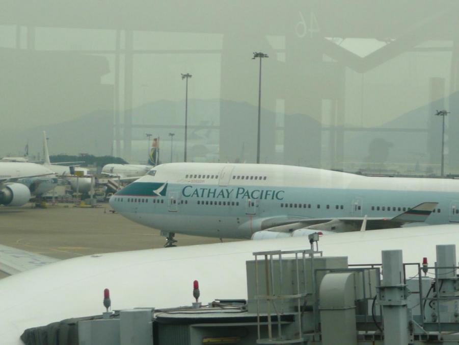 P1160382 (Large).JPG