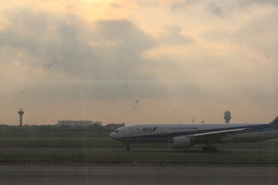 IMG_6251.JPG