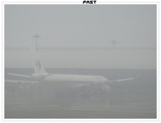 JapanDSC01878-0107.JPG