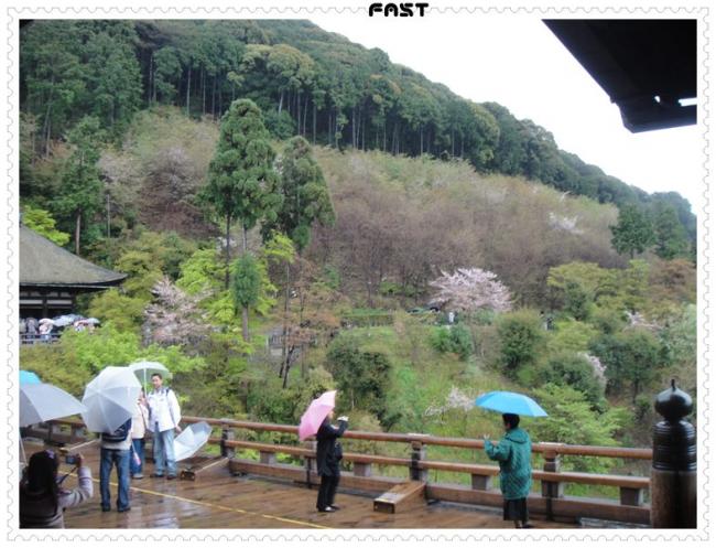 JapanDSC02031-0252.JPG