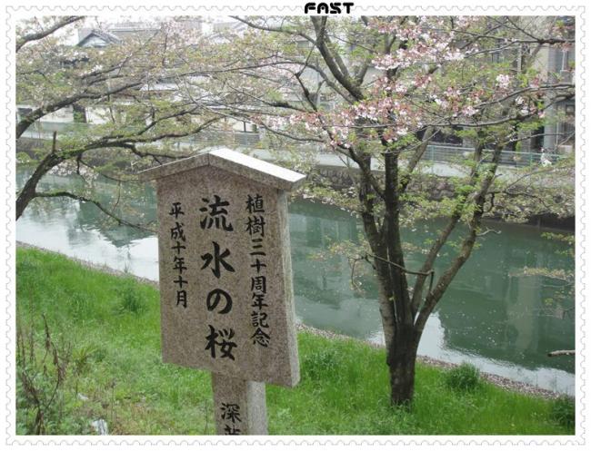 JapanDSC02265-0474.JPG