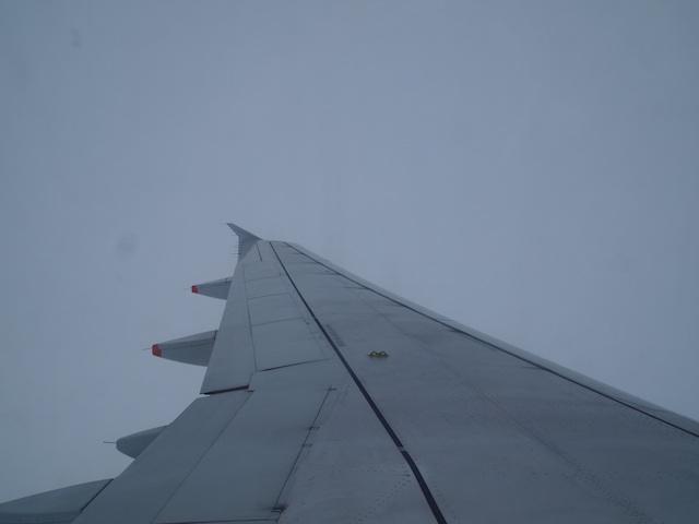 110.jpg