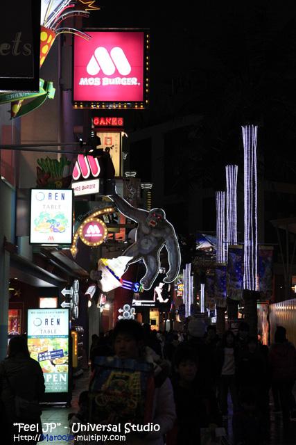 _MG_0550.jpg