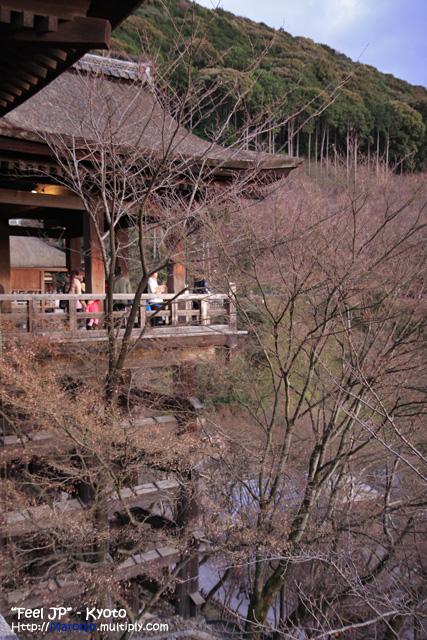 _MG_1007.jpg