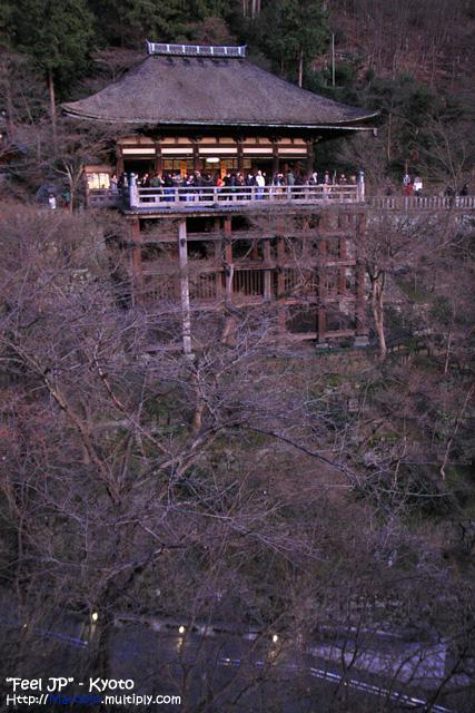 _MG_1035.jpg