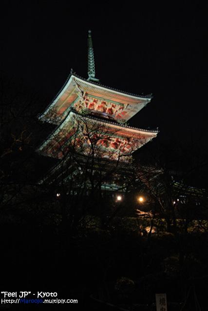 _MG_1074.jpg