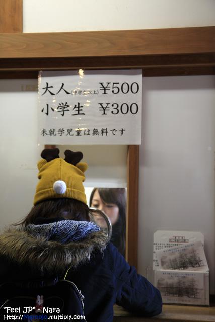 _MG_1317.jpg