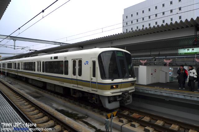 L1050513.jpg