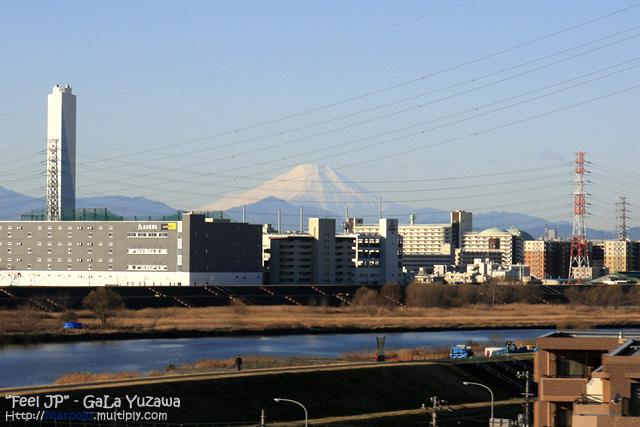 _MG_1427.jpg