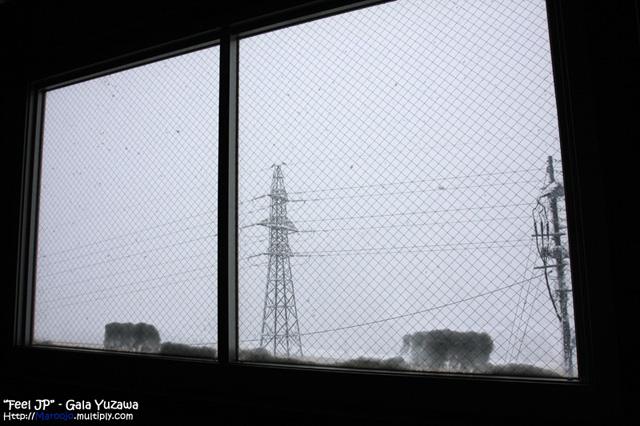 _MG_1485.jpg