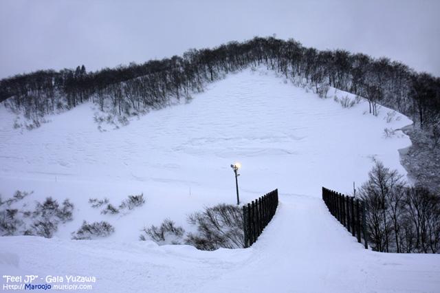 _MG_1535.jpg
