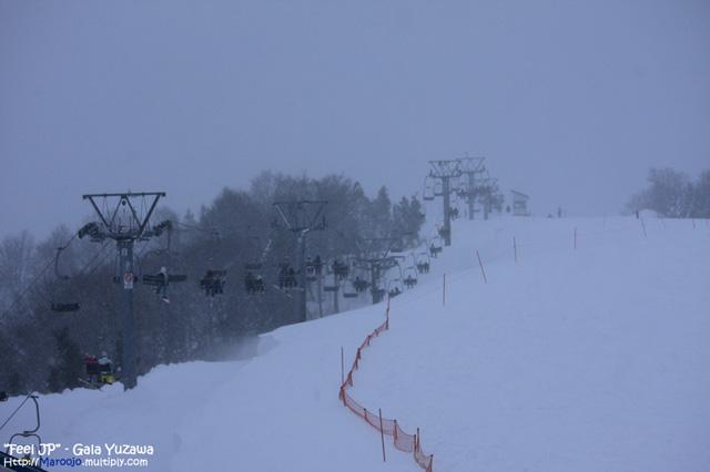 _MG_1597.jpg