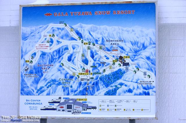 _MG_1613.jpg