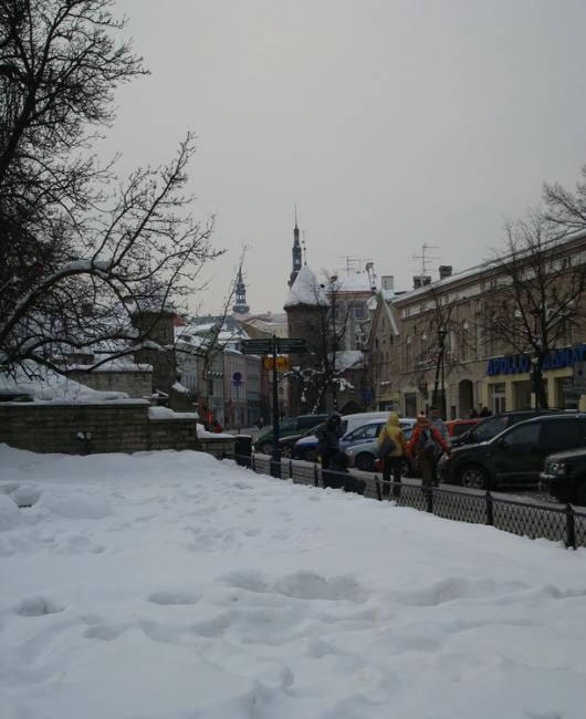 DSC04470.jpg