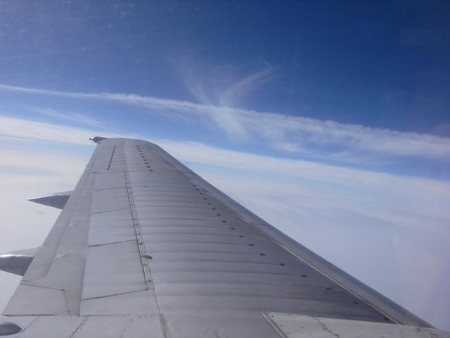 SDC11177.JPG