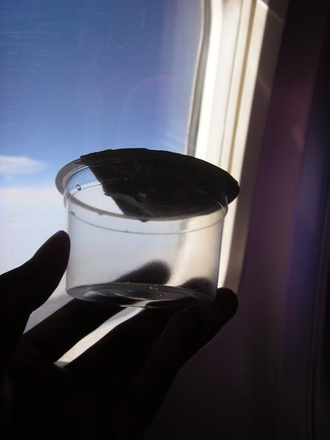 SDC11178.jpg