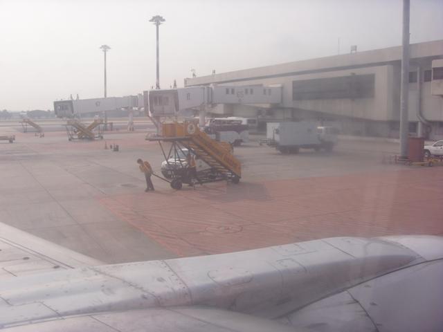 SDC11196.JPG