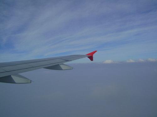 DSC02581_resize.JPG