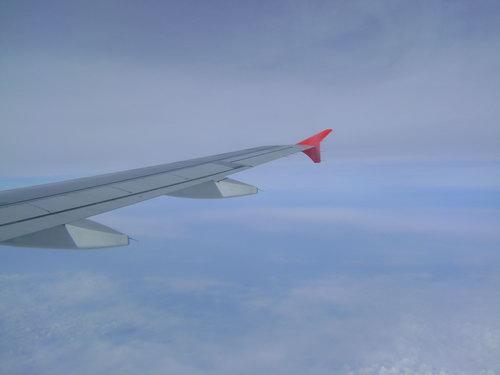 DSC02595_resize.JPG