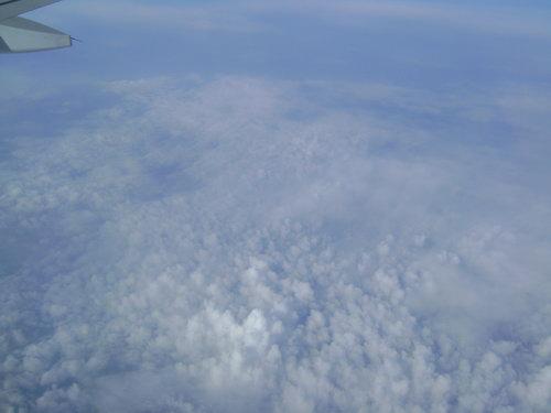 DSC02596_resize.JPG