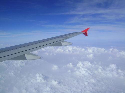 DSC02597_resize.JPG