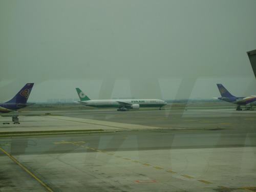 DSC02645_resize.JPG