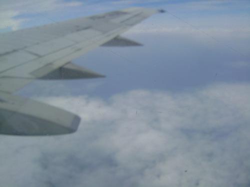 DSC02679_resize.JPG