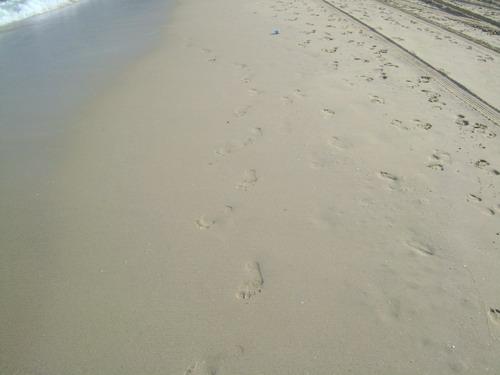 DSC02825_resize.JPG