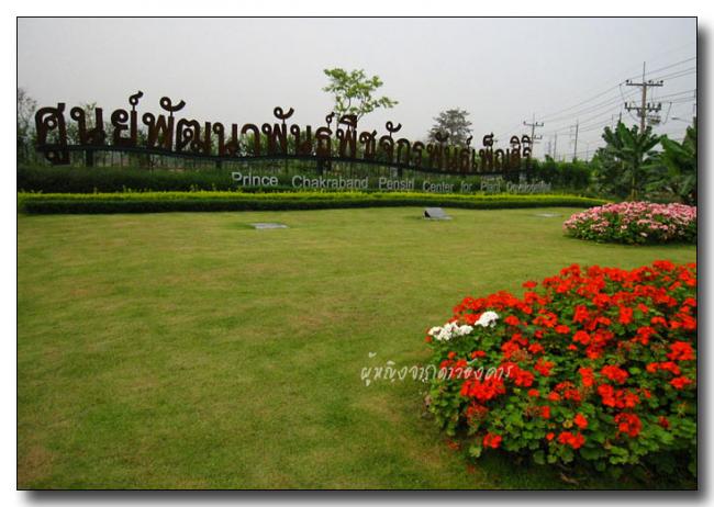 c006.jpg