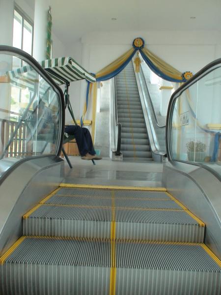 313.jpg