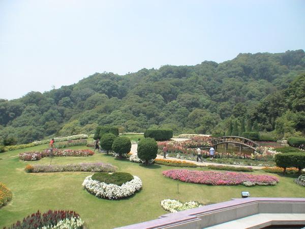 315.jpg