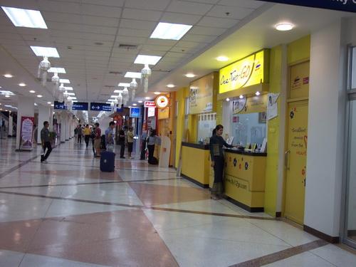 2011.jpg