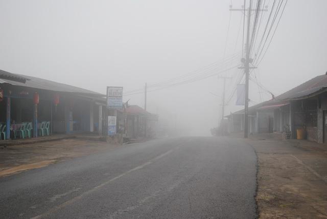 DSC_6721_resize.JPG