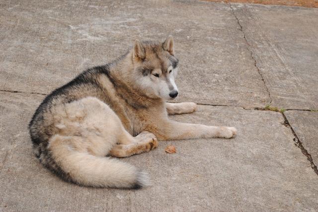 DSC_6812_resize.JPG