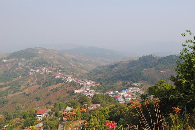 DSC_7020_resize.JPG