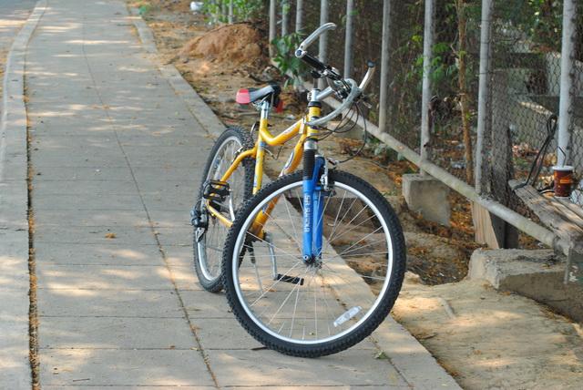 DSC_7209_resize.JPG