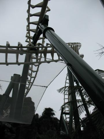 IMG_2879.JPG
