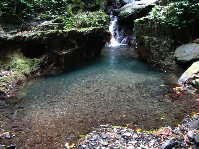 _MG_4509.JPG