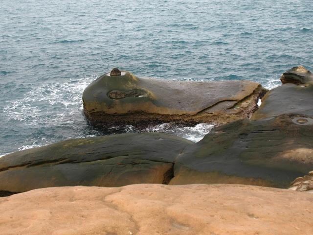 IMG_4748.JPG