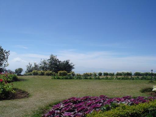 DSC05536.jpg
