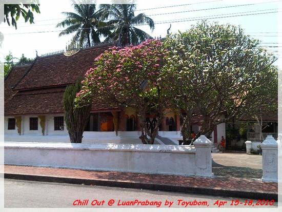 LPQ179.jpg