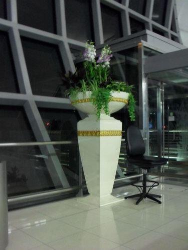 SAM_0252_resize.JPG
