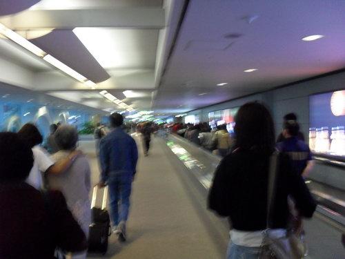 SAM_0292_resize.JPG