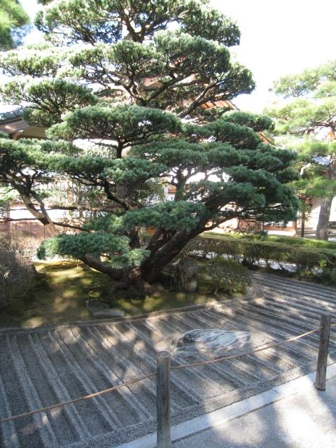 JAPAN 442.jpg