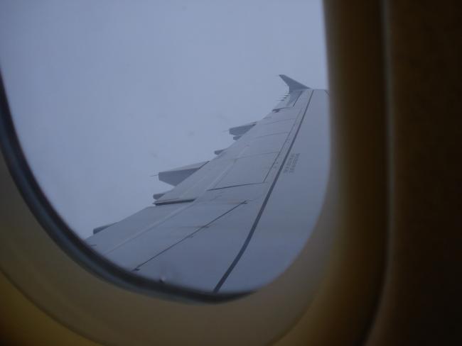 DSC09463_resize.JPG