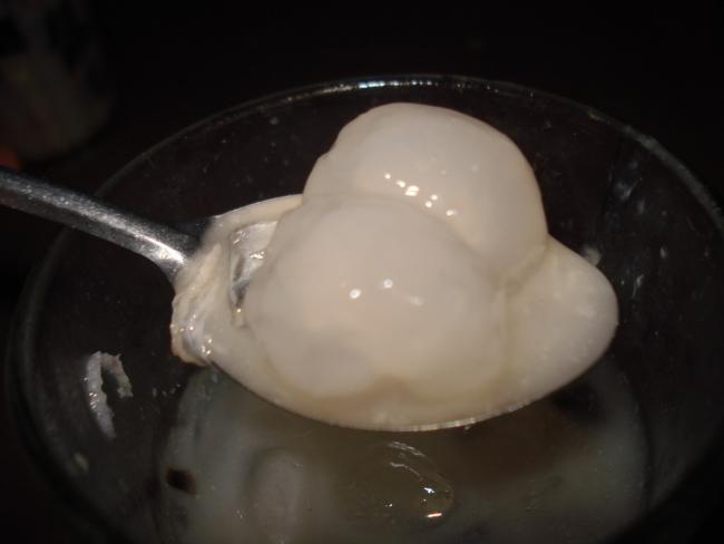 DSC00452_resize.JPG